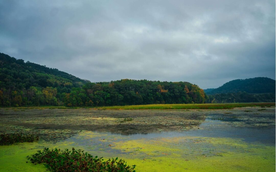 Sustainable Development and the Importance of Environmental Studies