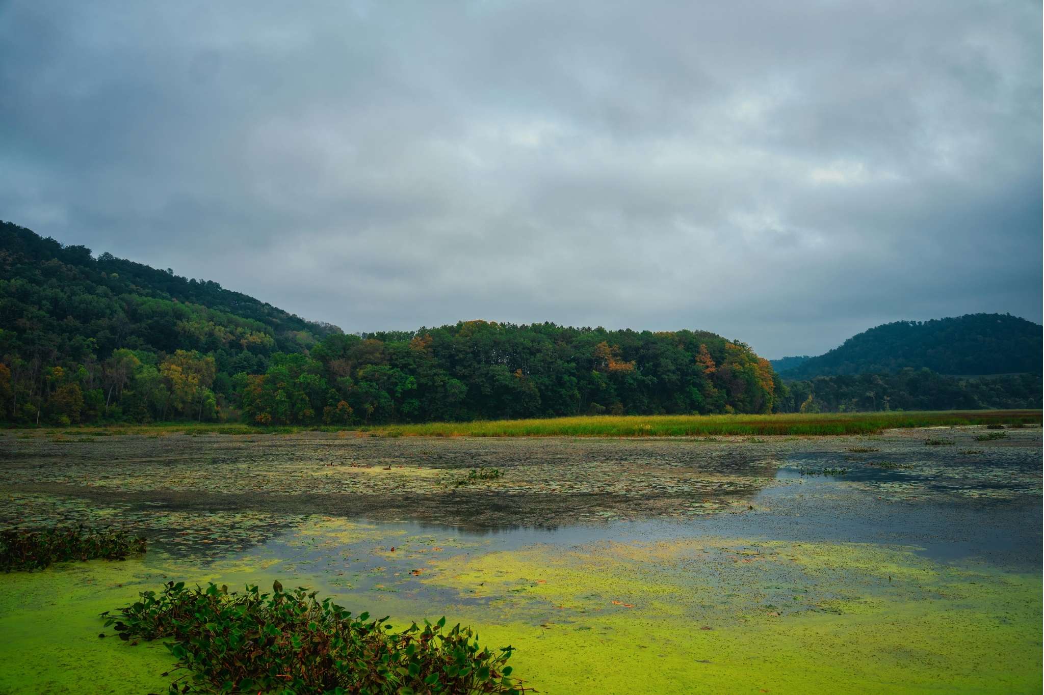 Sustainable Development and the Importance of Environmental Studies